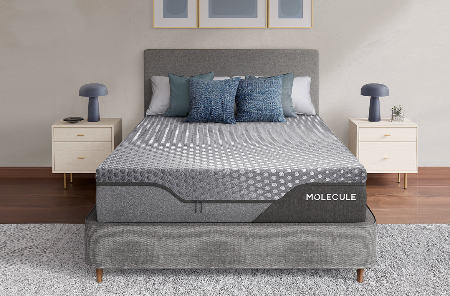 ENGAGE 12″ MATTRESS – MOLECULE