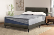 Reflex Embrace 12" Mattress