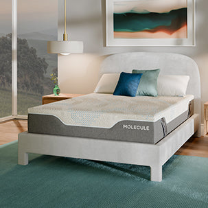 REFLEX PRO 12" MATTRESS