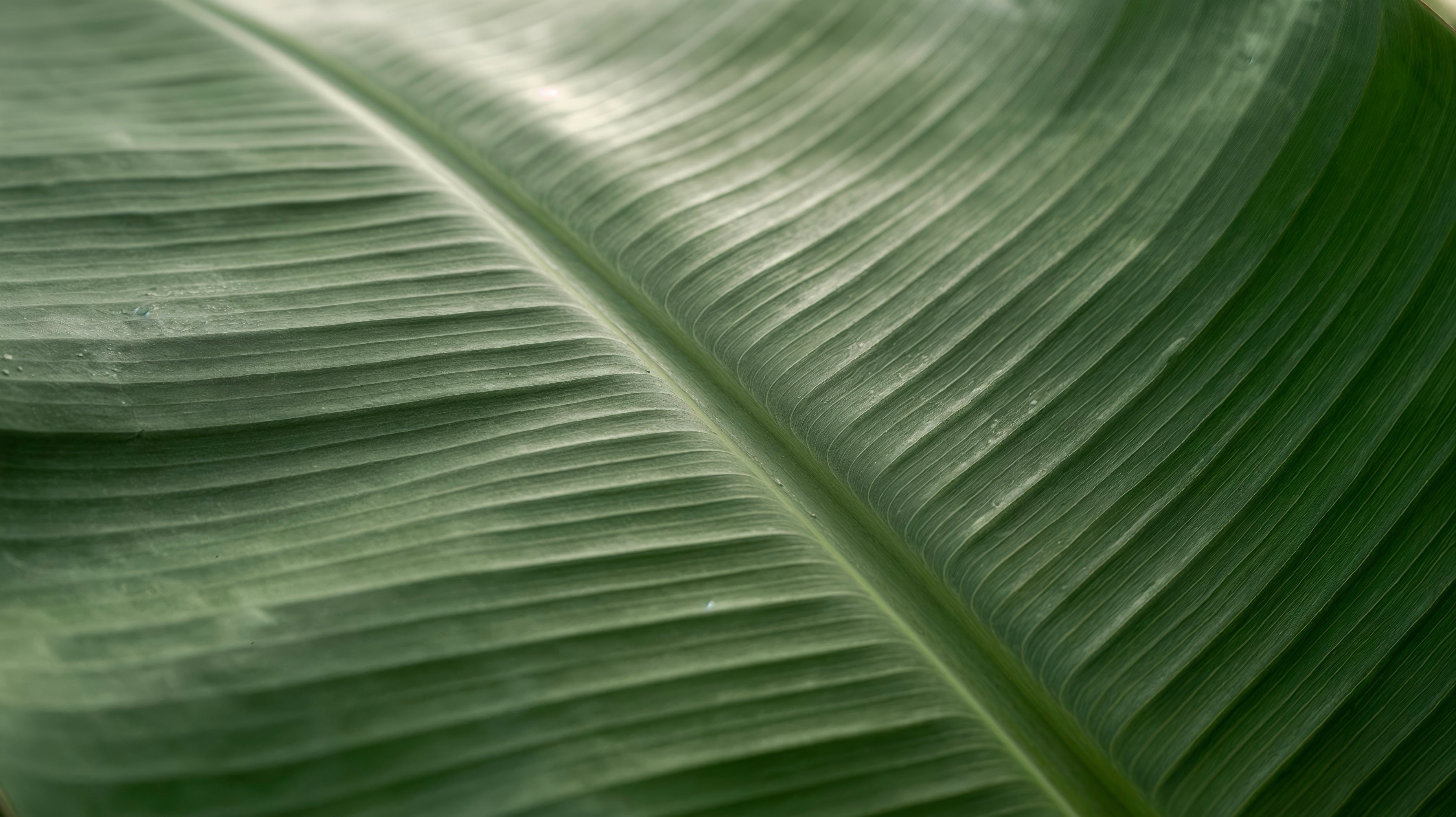 f158c092-c1a1-4ff5-ba19-ca68d3d42f8e_-_01.jpg