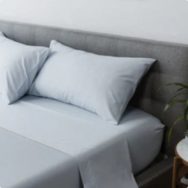 THE SHEETS