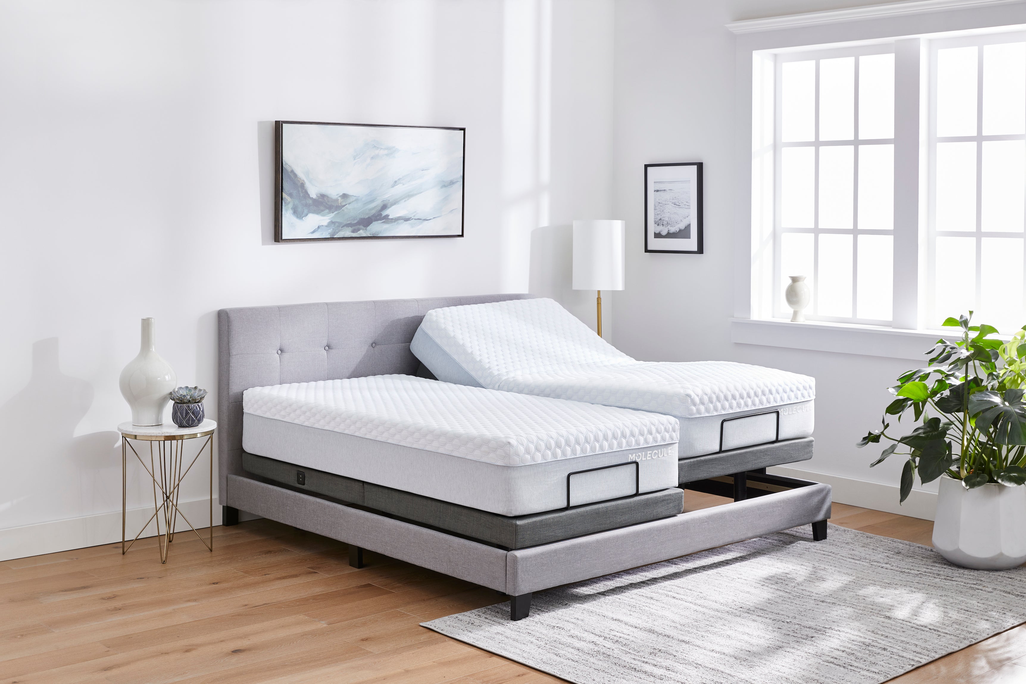MOLECULE Adjustable Bed Frame