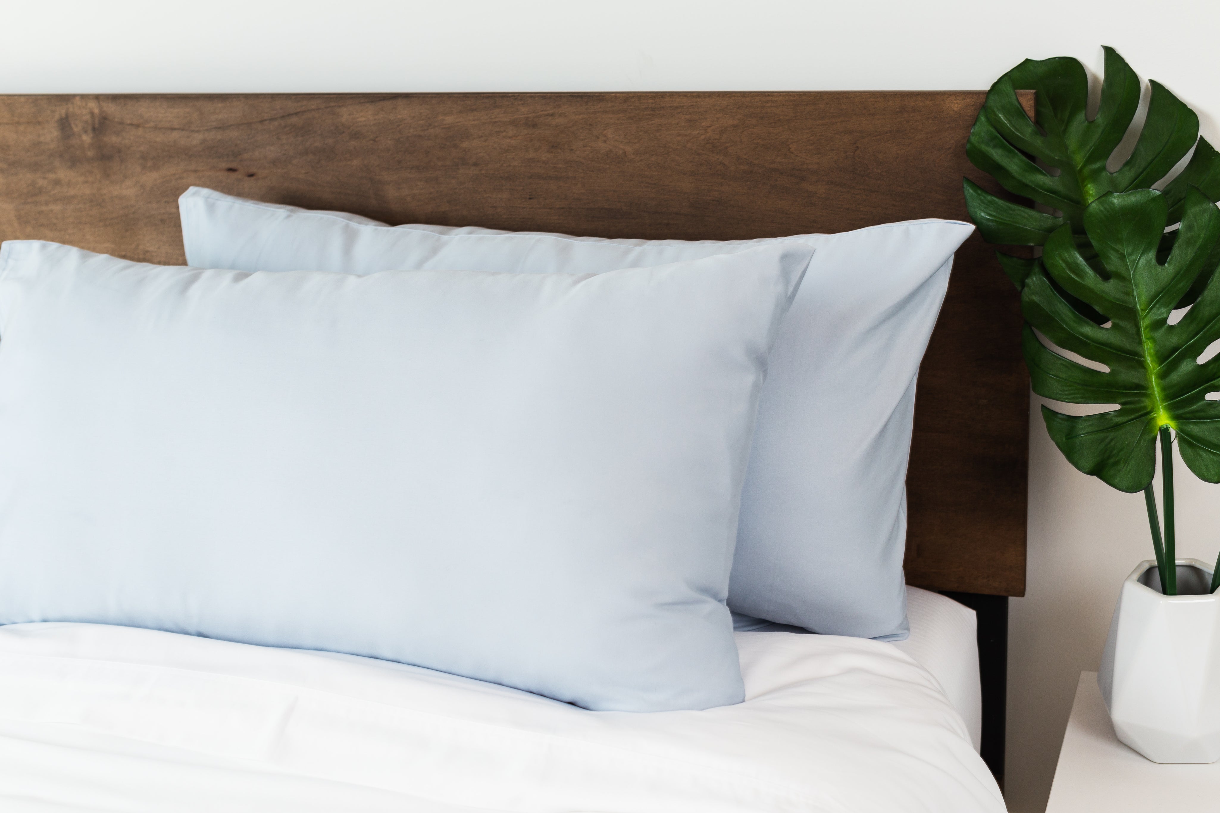 MOLECULE Pillowcases